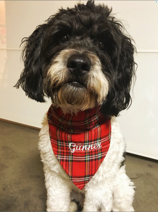 Embroidered Holiday Plaid Dog Bandana