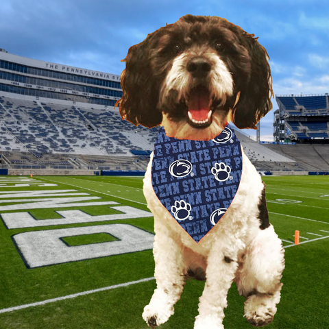 Penn State Dog Bandana