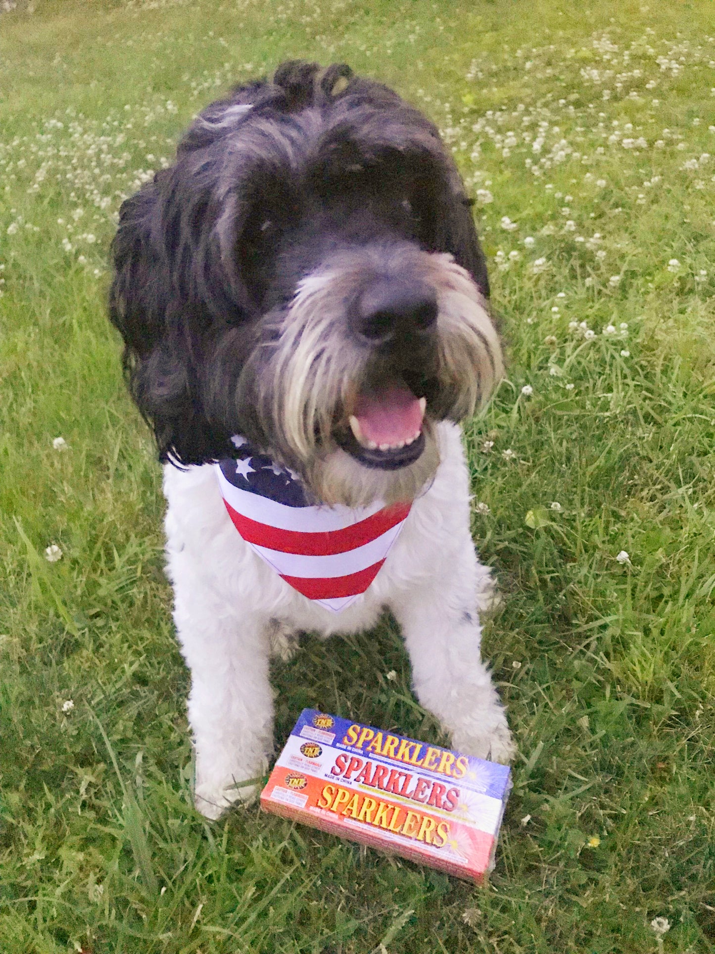 American Flag Over the Collar Pet Bandana!