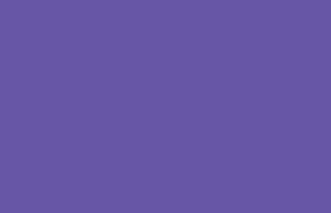 Purple HTV Roll 12”x5'